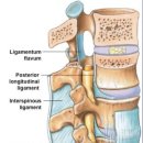 하루 피트니스 이미지
