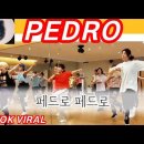 PEDRO(페드로) 근력몸풀이 Cardio Aerobics 이미지