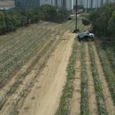 흥농농장 이미지