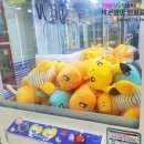 뽑생뽑사 이미지