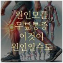 짐앤피티 네이버블로그