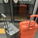 신도국제여행사 | 나트랑 3박 5일 여행 1일차 후기 | 날씨, 여행팁, 배달 음식 정리