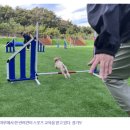 로집사인프라 이미지