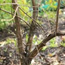 동백동산 이미지