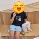 카페에눅 | 아이랑 대전가볼만한곳 <캣플코지눅> 고양이카페 방문 후기