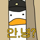 스튜디오이카루스
