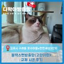 이(e)편한세상6-2단지 아파트 | [김포 구래동 방충망] 호수마을 e편한세상 3단지 아파트 블랙스텐방충망 교체 시공 후기