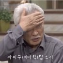 돈파스팔레 이미지