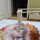 임실시장 | 방어 모듬회는 역시 노량진, 노량진 수산시장 맛집 &#39;전북임실수산&#39;