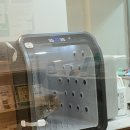 주인아 미용하고가 | 안산 고양이 무마취 미용, 목욕 케어샵 슈슈캣 내돈내산 후기