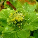 집밥 한상 이미지