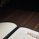 요바 | 대구 서구 이자카야 요바 혼술 카이센동 후기