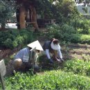 회천어린이집 이미지