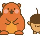 비버랑토리랑한의원 이미지