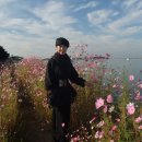 연육교민박 이미지