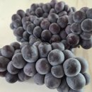 해풍농장 이미지