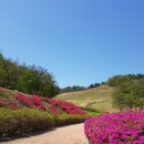 입점리고분전시관 이미지