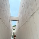 산복로 | 【후기】미우미우 미니백 나파가죽파우치 오크 실착사진 모음(2)