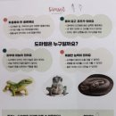 두리숲어린이집 이미지