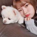 네일아린