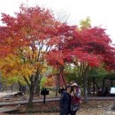 태장2동주민센터 이미지