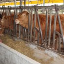 순익농장 이미지