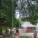 청화산캠프관광농원