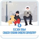 대설과 한파 어떻게 대처할까? [광주광역시제공] 이미지