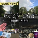 뉴질랜드북섬여행 오클랜드 버거퓨엘 극장시빅 스카이타워 야시장 시티투어