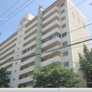 신월동208 이미지