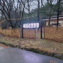 정이품송캠핑장 이미지