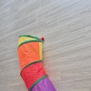 행복무지개 | 🐾 터널 고양이 장난감으로 행복지수 급상승! 무지개 놀이터 같았던 S자 터널 후기 🌈