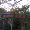 석암농장 Daum카페
