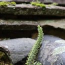 문경 부훤당고택 이미지