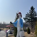 화림식당 | 끝판왕! 서울대공원 산책로 코스 &amp; 현지인만 아는 1만원 '항아리 수제비' 찐 후기 (산불 통제 정보 필수!)