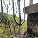 레이크팜스테이 이미지