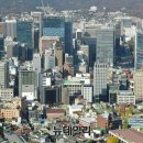 대미플러스 이미지