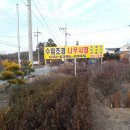 수림조경 이미지