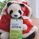 발효식품 | *피곤한 현대인을 위한 발효식품 금진장 솔직후기*