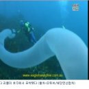 순하네 이미지