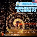 바라누스 | 여행] 코타키나발루 밤 투어 봉가완 반딧불 투어, 맹그로브 원숭이, 선셋, 저녁뷔페, 폭죽 피날레 후기