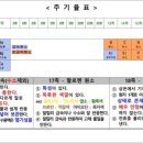리혜수학과학