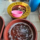 남태평양횟집 이미지