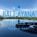모닝클럽송내남부센터 | 아야나리조트 :: 림바 후기 (룸컨디션•얼리체크인•체크아웃 꿀팁) 리조트,세가라,빌라스 특징, 아야나...