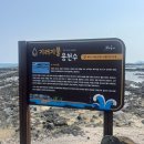 [2025.3.22.-3.24.] 제주도 푸른밤(3)