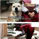 똘똘이농장 이미지