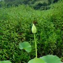 등대회관 이미지