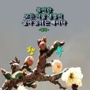 은고개로 Daum카페