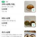 205 | 서산 더솔티카페 | 소금빵 맛집 , 애견동반 카페, 실내 애견동반 카페, 내돈내산