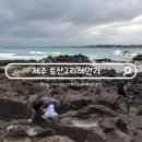 토산2리마을회관 | 제주 동쪽 바다 토산2리 용천수 해안가 아이랑 꽃게잡기 체험